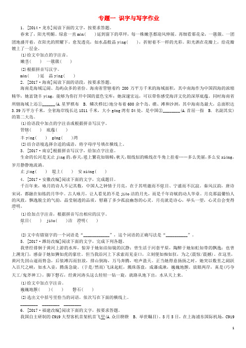 中考语文第1部分积累与运用专题一识字与写字作业