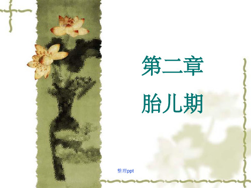 《人体发育学》第二章胎儿期(胎儿发育的影响因素)