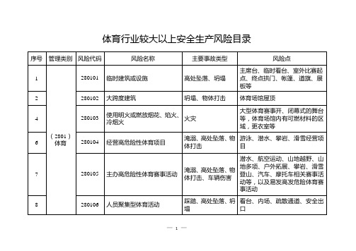 体育行业较大以上安全风险目录