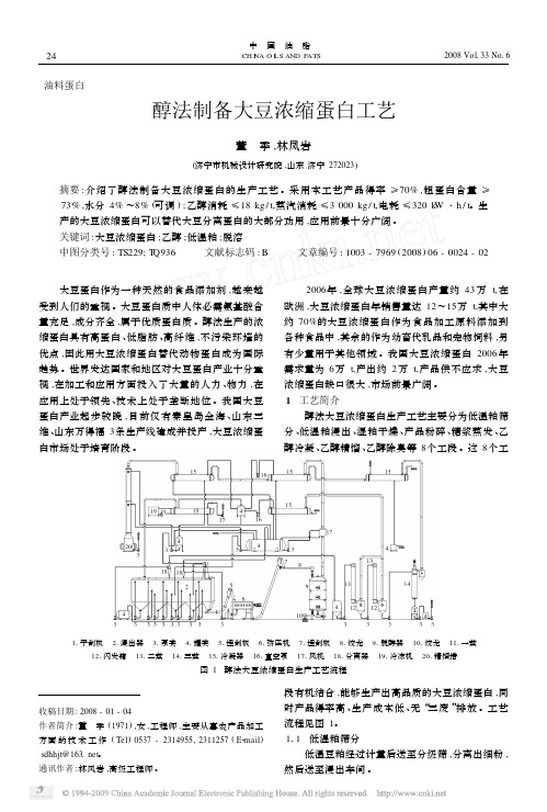 醇法制备大豆浓缩蛋白工艺