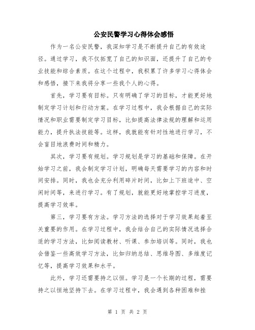 公安民警学习心得体会感悟