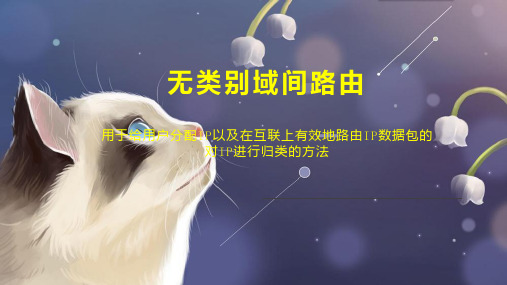 无类别域间路由