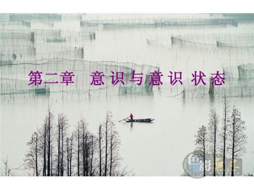 2意识与意识状态