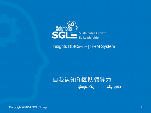 SGL DISC 自我认知团队领导力