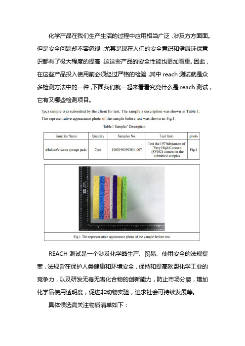 reach测试项目有哪些