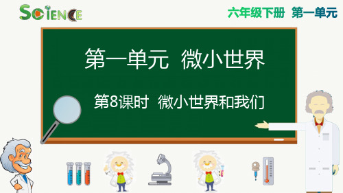 微小世界和我们小学六年级下册科学PPT课件