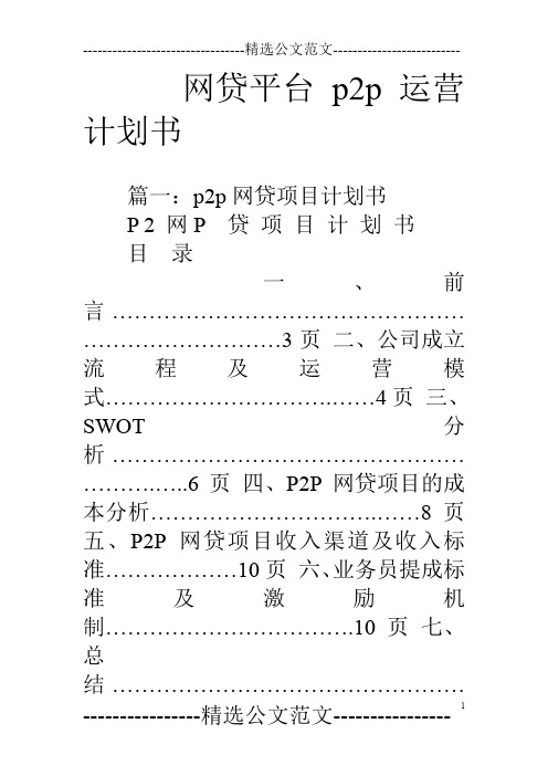 网贷平台p2p运营计划书