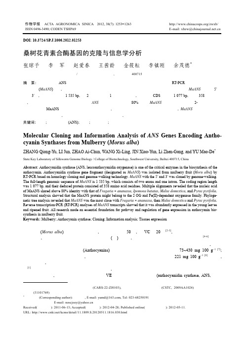 桑树花青素合酶基因的克隆与信息学分析