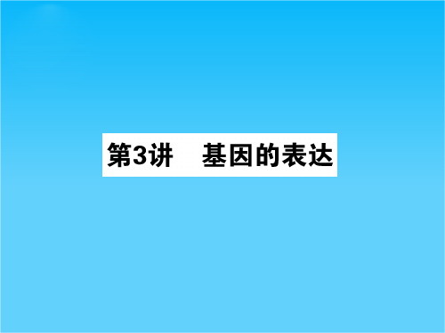 高考生物一轮复习 3.3基因的表达课件 新人教版必修2