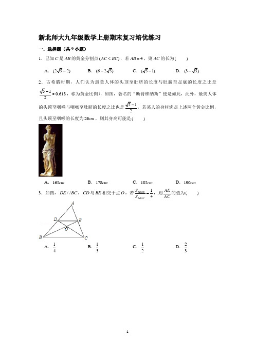 新北师大九年级数学上册期末复习培优练习(含答案)