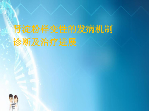 肾淀粉样变性疾病发病机制及诊断治疗进展PPT课件