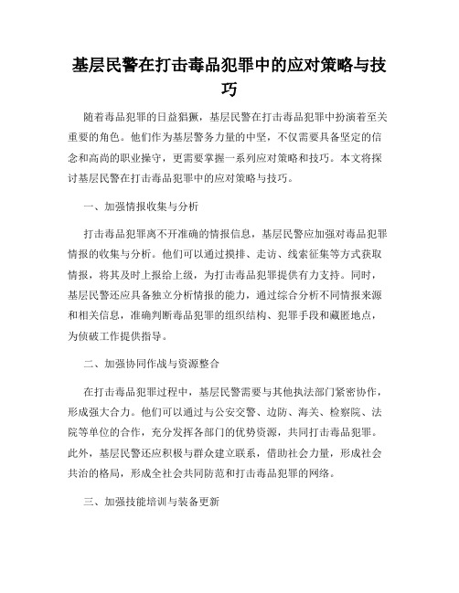 基层民警在打击毒品犯罪中的应对策略与技巧