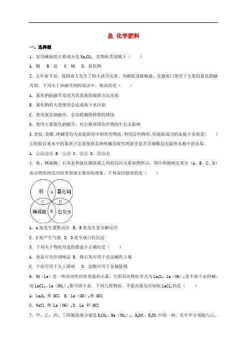 中考化学专题练习 盐、化学肥料(含解析)