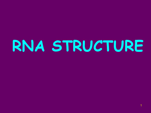 RNA STRUCTURE JAU