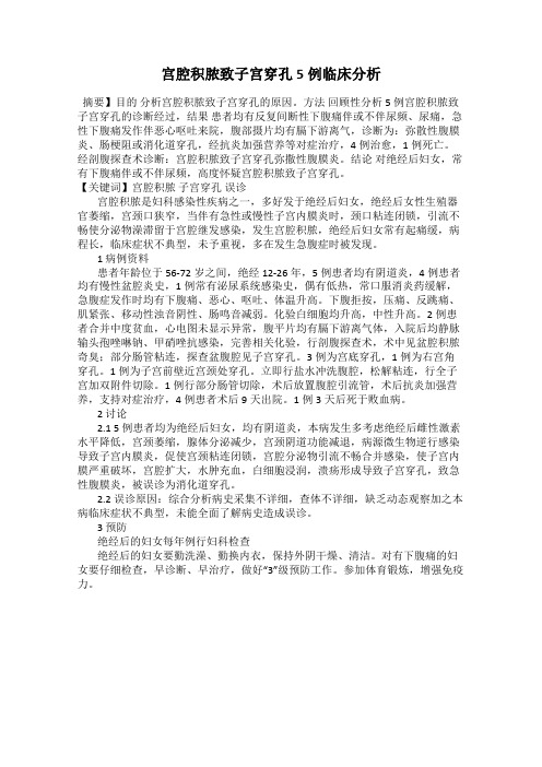 宫腔积脓致子宫穿孔5例临床分析