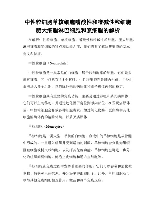 中性粒细胞单核细胞嗜酸性和嗜碱性粒细胞肥大细胞淋巴细胞和浆细胞的解析