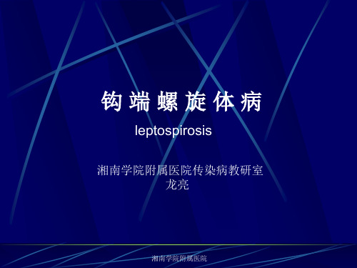 钩端螺旋体病