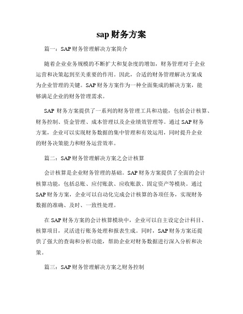 sap财务方案