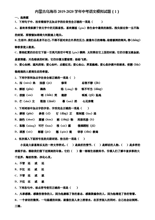 内蒙古乌海市2019-2020学年中考语文模拟试题(1)含解析