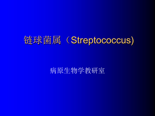 链球菌属(Streptococcus)