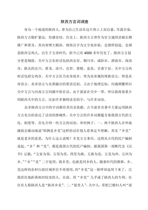 陕西方言研究报告