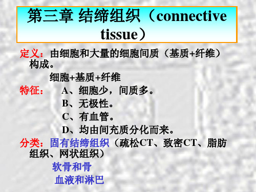 第三章 结缔组织(connective tissue)