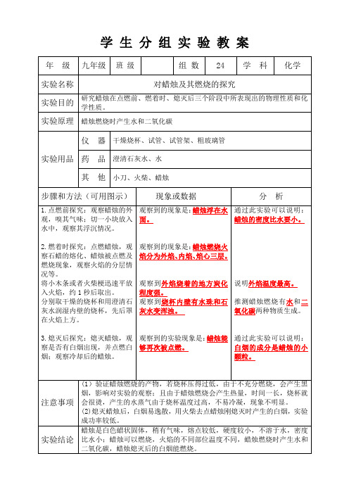 化学学生分组实验教案 人教版