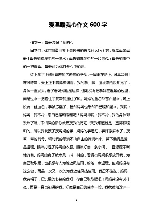 爱温暖我心作文600字