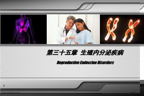 生殖内分泌疾病妇产科学专家讲座