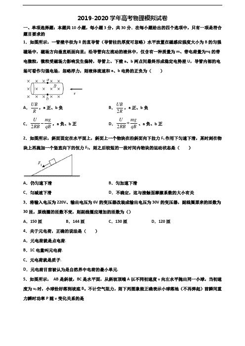 厦门市名校2020高考物理预测试题