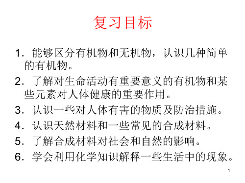 九年级化学第十二单元化学与生活复习课件ppt