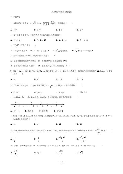 2020年秋江苏省八年级上册数学期末复习题 