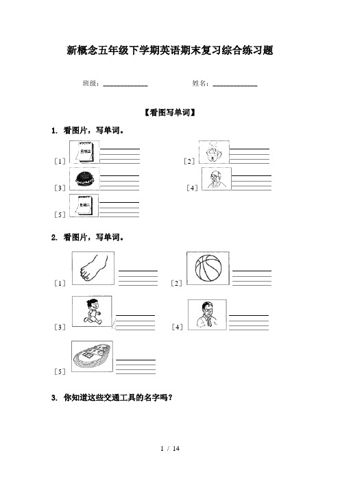 新概念五年级下学期英语期末复习综合练习题