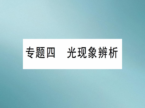 第四章 专题四 光现象辨析—2020年秋沪科版八年级上册物理课件