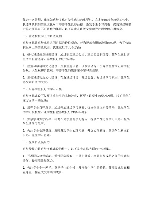 教师班级文化心得体会