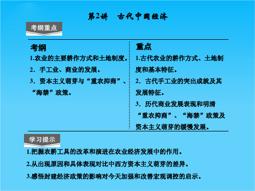 广东省佛山市中大附中三水实验中学高三历史复习课件《第2讲 古代中国经济》