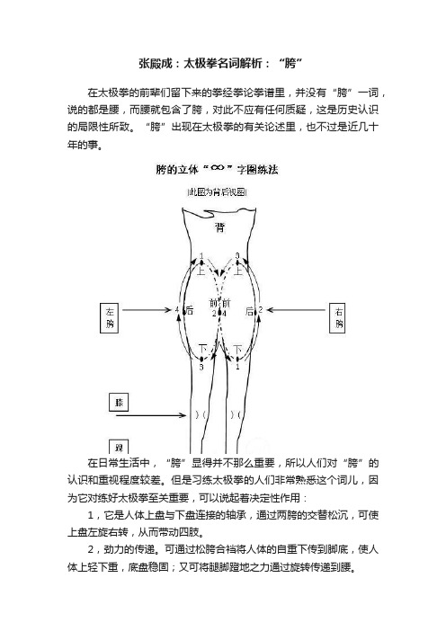 张殿成：太极拳名词解析：“胯”