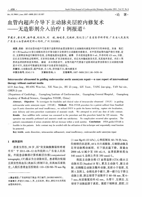 血管内超声介导下主动脉夹层腔内修复术——无造影剂介入治疗1例报道