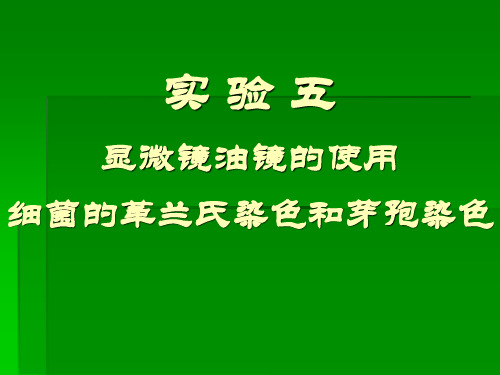 实验五显微镜油镜的使用细菌的革兰氏染色及芽孢染色张理珉ppt课件