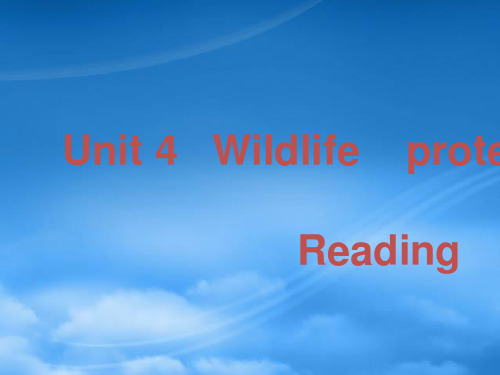 云南省德宏州梁河县第一中学高中英语 Unit 4 Wildlife protection readi