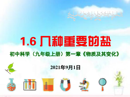 九年级上《几种重要的盐》PPT新教材浙教版1