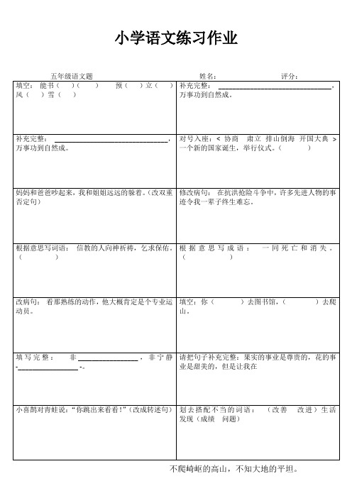 五年级语文课堂拓展精选练习IV (3)