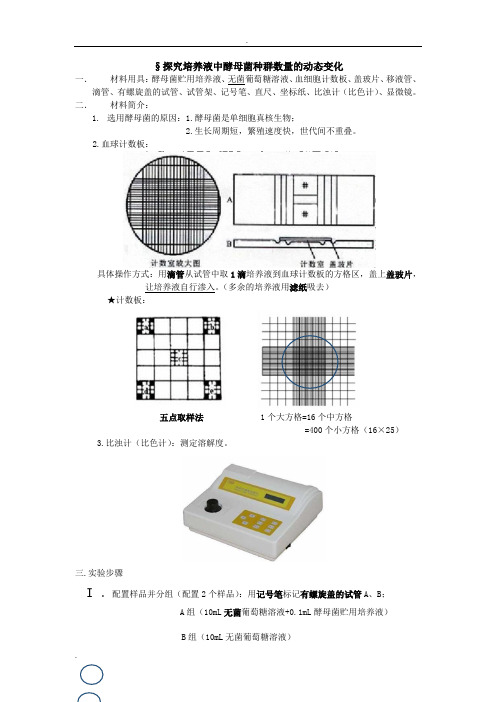 探究培养液中酵母菌种群数量的动态变化