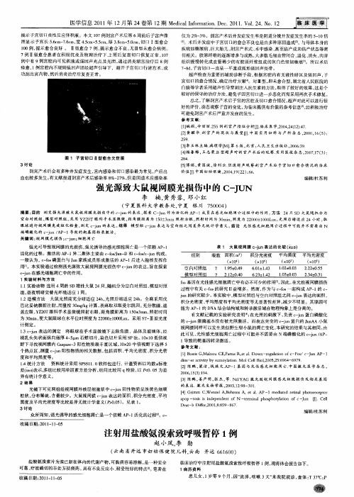 注射用盐酸氨溴索致呼吸暂停1例