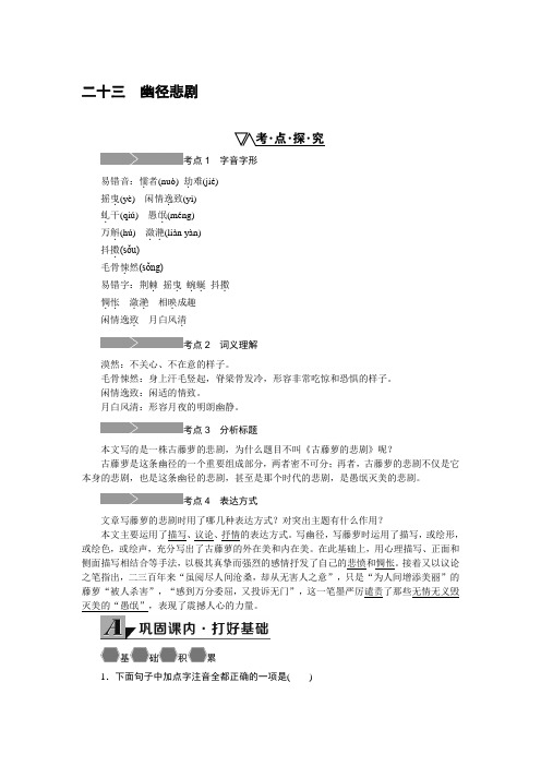 八年级语文上册(SJ)3.学案23.幽径悲剧