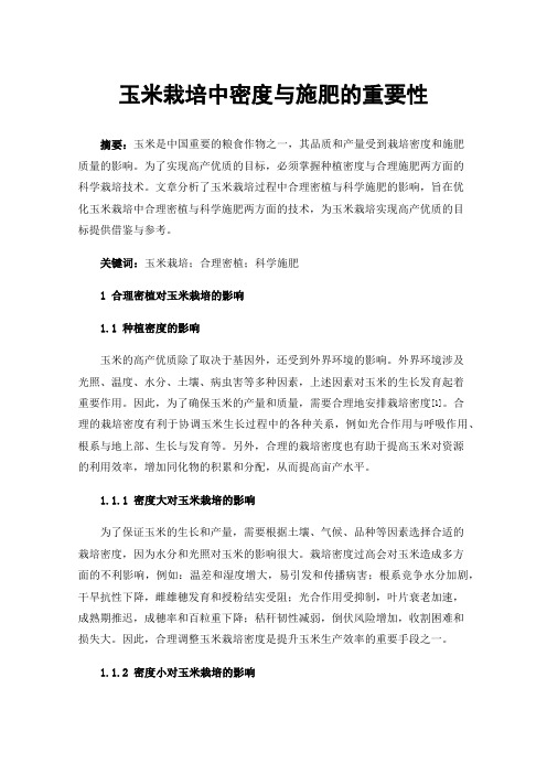 玉米栽培中密度与施肥的重要性