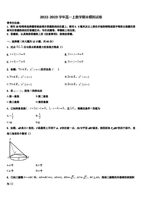 湖北省武汉市新洲一中阳逻校区2023届高一数学第一学期期末教学质量检测模拟试题含解析