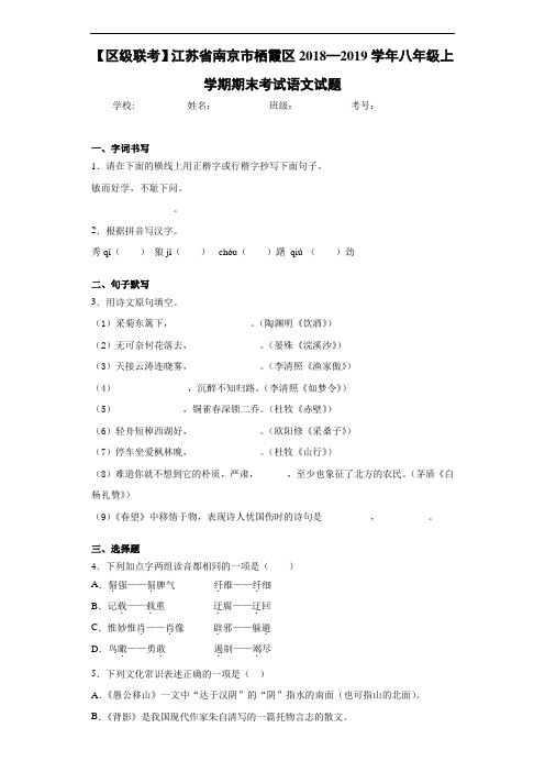 江苏省南京市栖霞区2018—2019学年八年级上学期期末考试语文试题