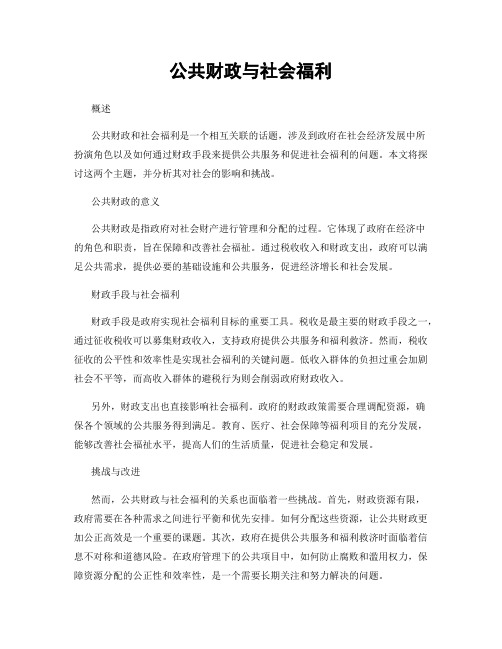 公共财政与社会福利