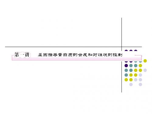 必修二4-1基因指导蛋白质的合成和对性状的控制